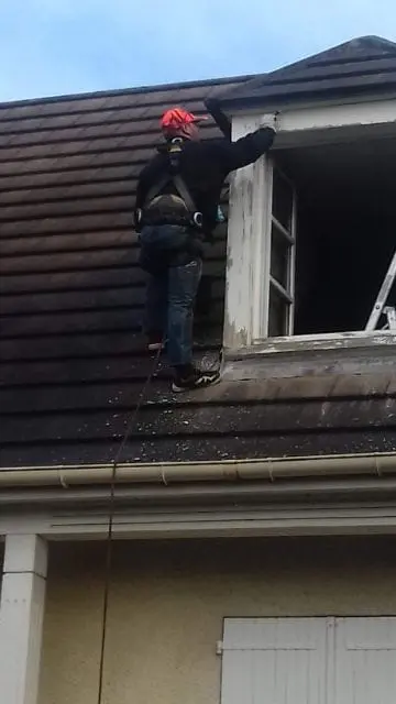 renovation chien assis 95