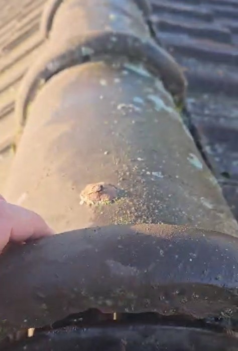 faitage francoville 95